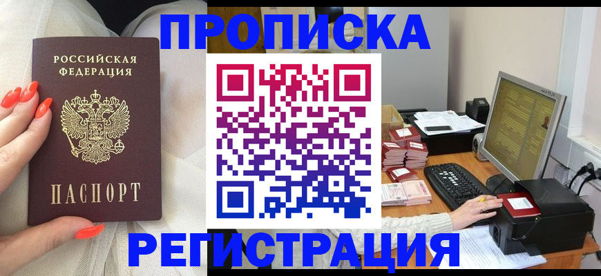 временная регистрация поиск в Гудермесе